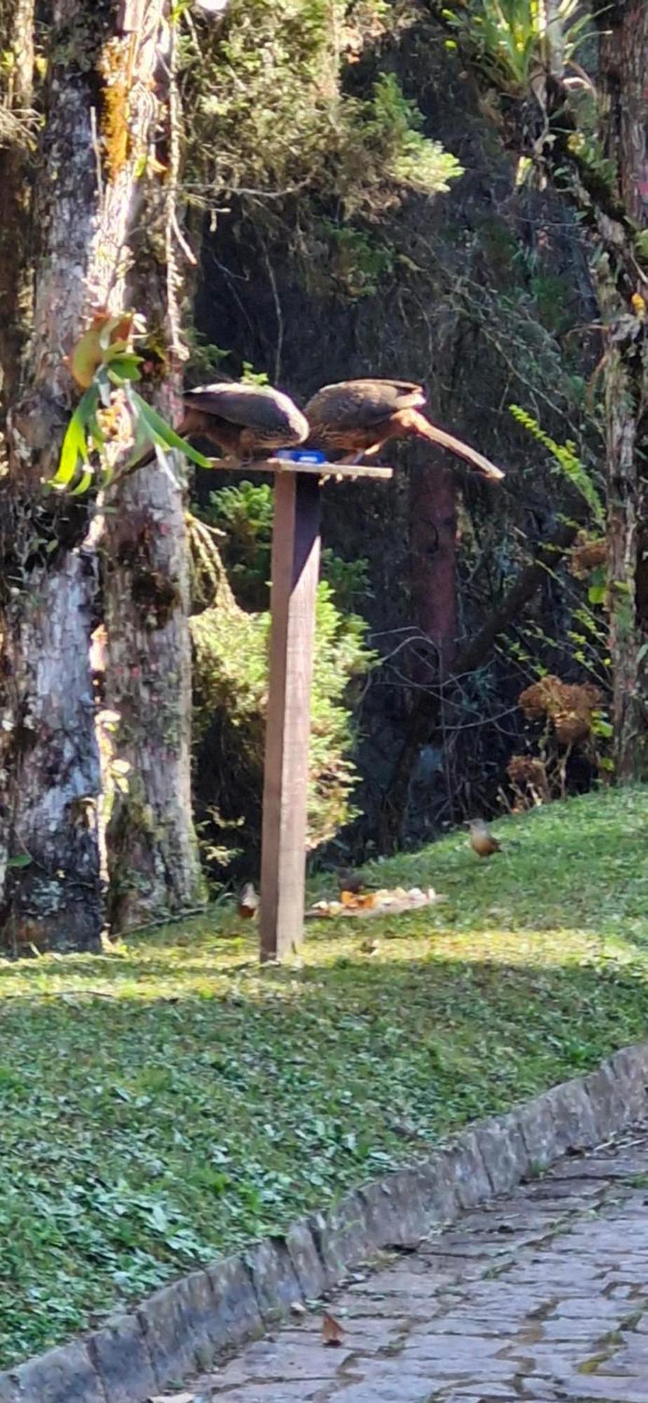 Hospedagem domiciliar Aconchego Na Natureza